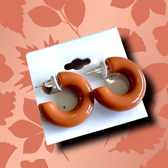 Lucite teardrop curved post earrings hypoallergenic NWT modern chic rust brown - Picture 4 of 4